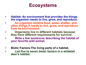 Ecosystem