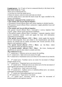 4 th Cranial nerve