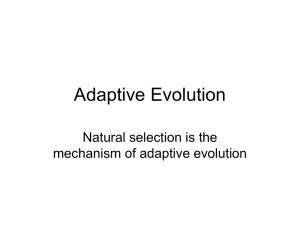 Adaptive Evolution