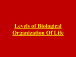 Levels of Biological Organization File