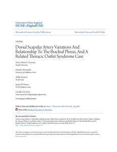 Dorsal Scapular Artery Variations And Relationship To The Brachial