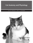 Cat Anatomy and Physiology - Colorado 4-H