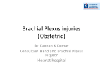 Brachial Plexus injuries