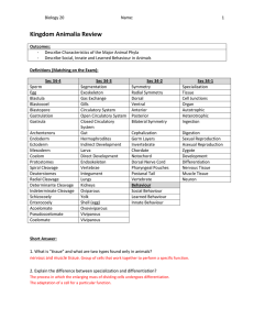 Kingdom Animalia Review Answer Key