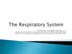 The Respiratory System