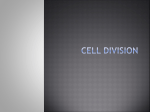 Cell Division - Wantagh School