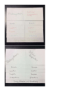 Cellular Energy Foldable Instructions and Content