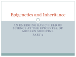 Epigenetics and Inheritance