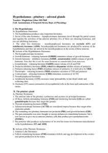 Hypothalamus - pituitary