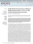 Single blastomere expression profiling of Xenopus laevis embryos