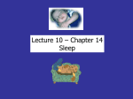 sleep - CSUB Home Page