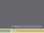 Evidence for Evolution