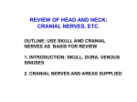 Superior Sagittal Sinus