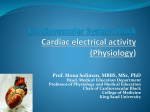 Cardiac electrical activity