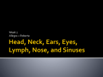 Head, Neck, Ears, Eyes, Lymph, Nose, and Sinuses