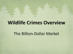 Env Sci Wildlife Crimes Overview