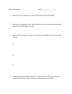 Chapter 20 Questions
