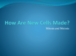 How are new cells made? - Social Circle City Schools
