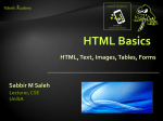 html - Sabbir Saleh
