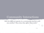 Community Interactions