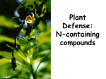 Plant Defense III