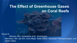 Coral reefs and greenhouse gases