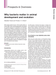 Why bacteria matter in animal development and evolution