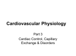 Cardiovascular Physiology