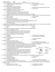 Evolution Review Questions