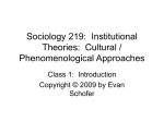 Institutional Theories