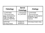 Major Divisions of Life