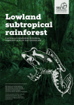 Lowland subtropical rainforest