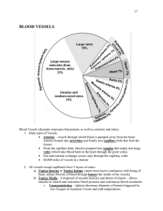 Circulatory System Part 3