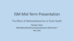ISM Final Project Presentation (PPT)