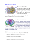 Air Mass Reading