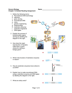 5echap12guidedreading