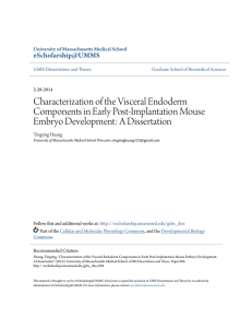 Characterization of the Visceral Endoderm Components in Early