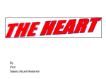 Left Coronary Artery