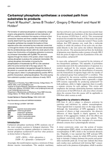 Carbamoyl phosphate synthetase - Department of Biochemistry