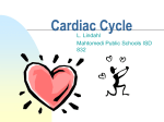 Cardiac Cycle - Mahtomedi Middle School