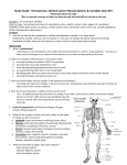 Homeostasis, Levels of Organization of Living Things, Skeletal