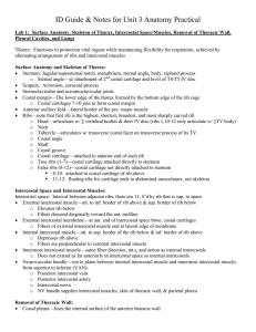 Unit III Structures to ID