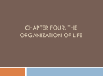 Chapter Four: The organization of life