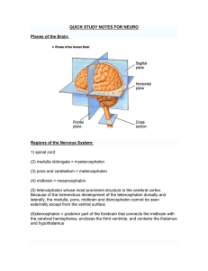 quick study notes for neuro