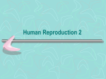 Human Reproduction 2