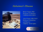 Alzheimer`s Disease - 4.34 MB