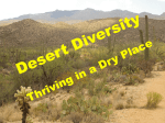 Desert Diversity - Electronic Field Trip