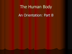Lecture Notes for Human Body: An Orientation: Part B