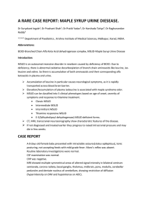 a rare case report: maple syrup urine diesease.
