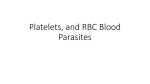 RBC Morphology